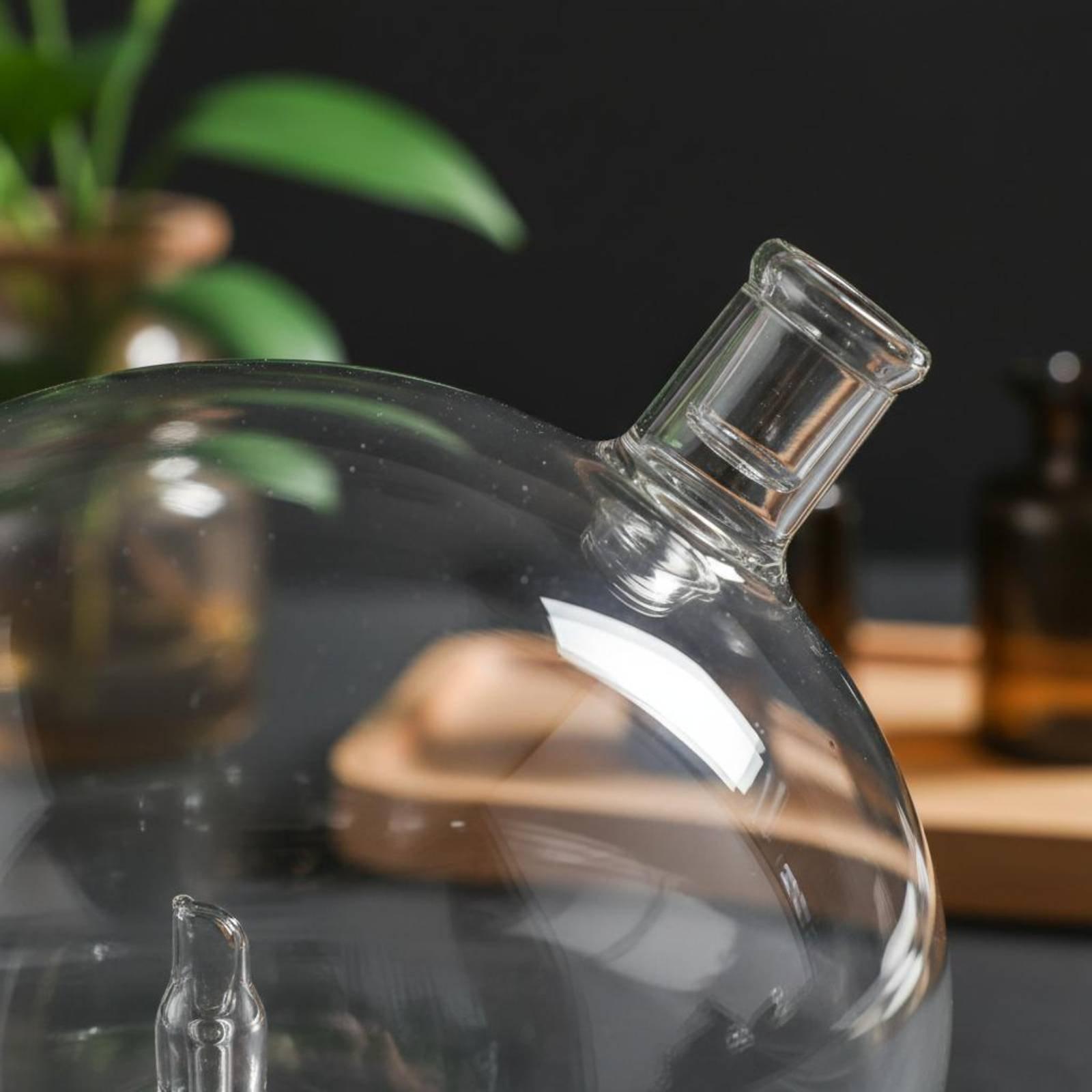 زجاجة ناشر عطر زجاجية بديلة عا - مراجعة Home And You Fragrance Diffuser وسعره